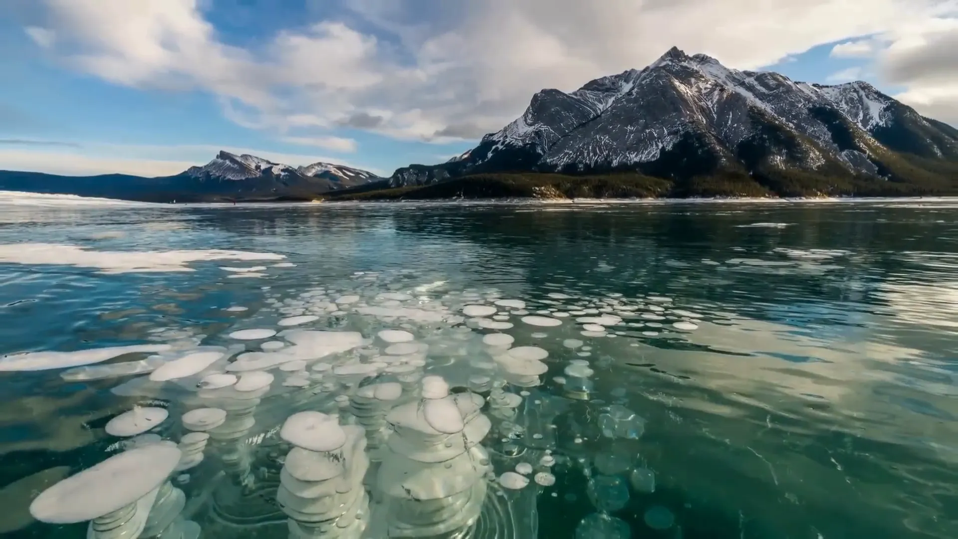 Methane ice bubbles trapped beneath Abraham Lake