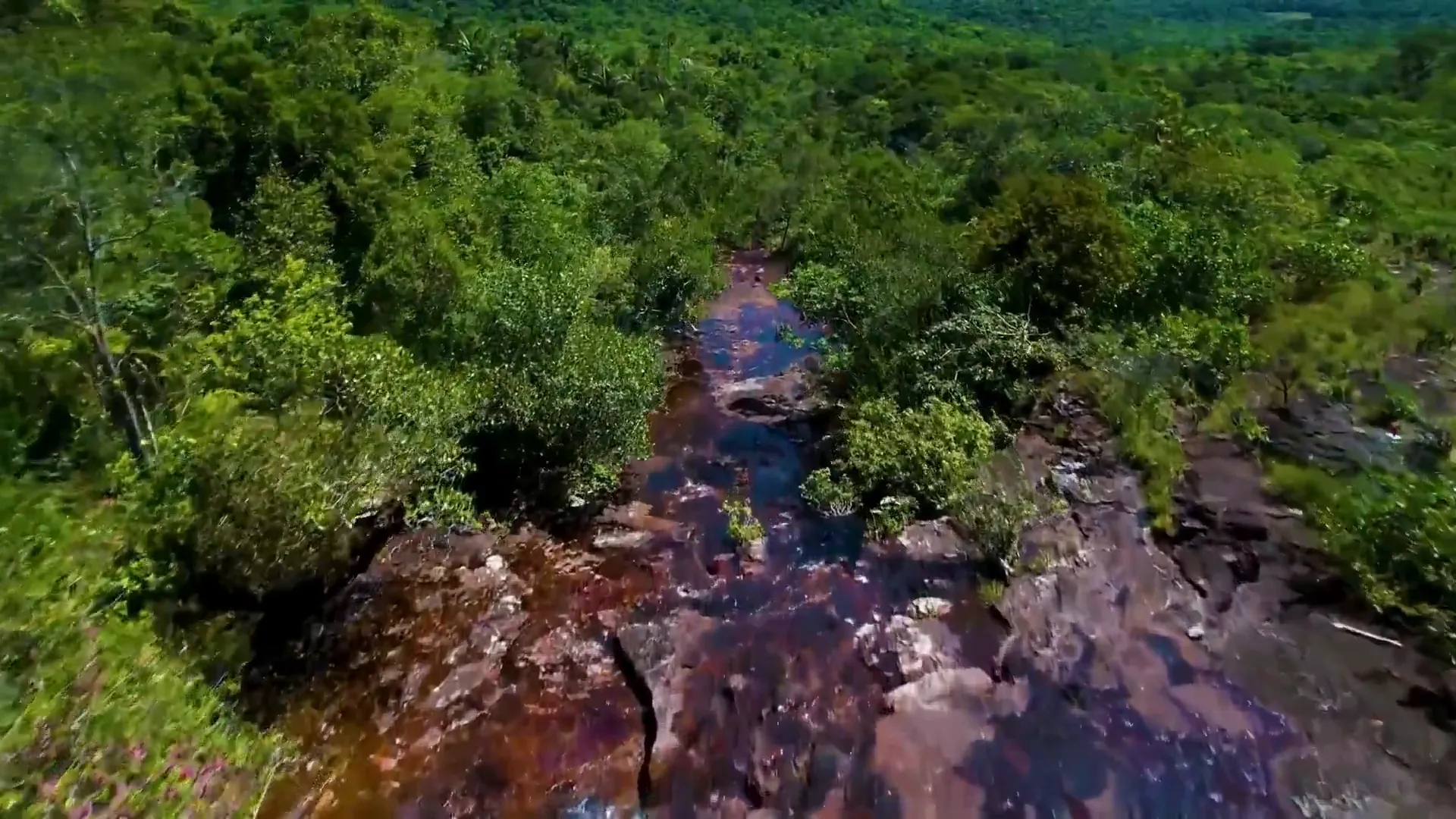 The colorful Caño Cristales river