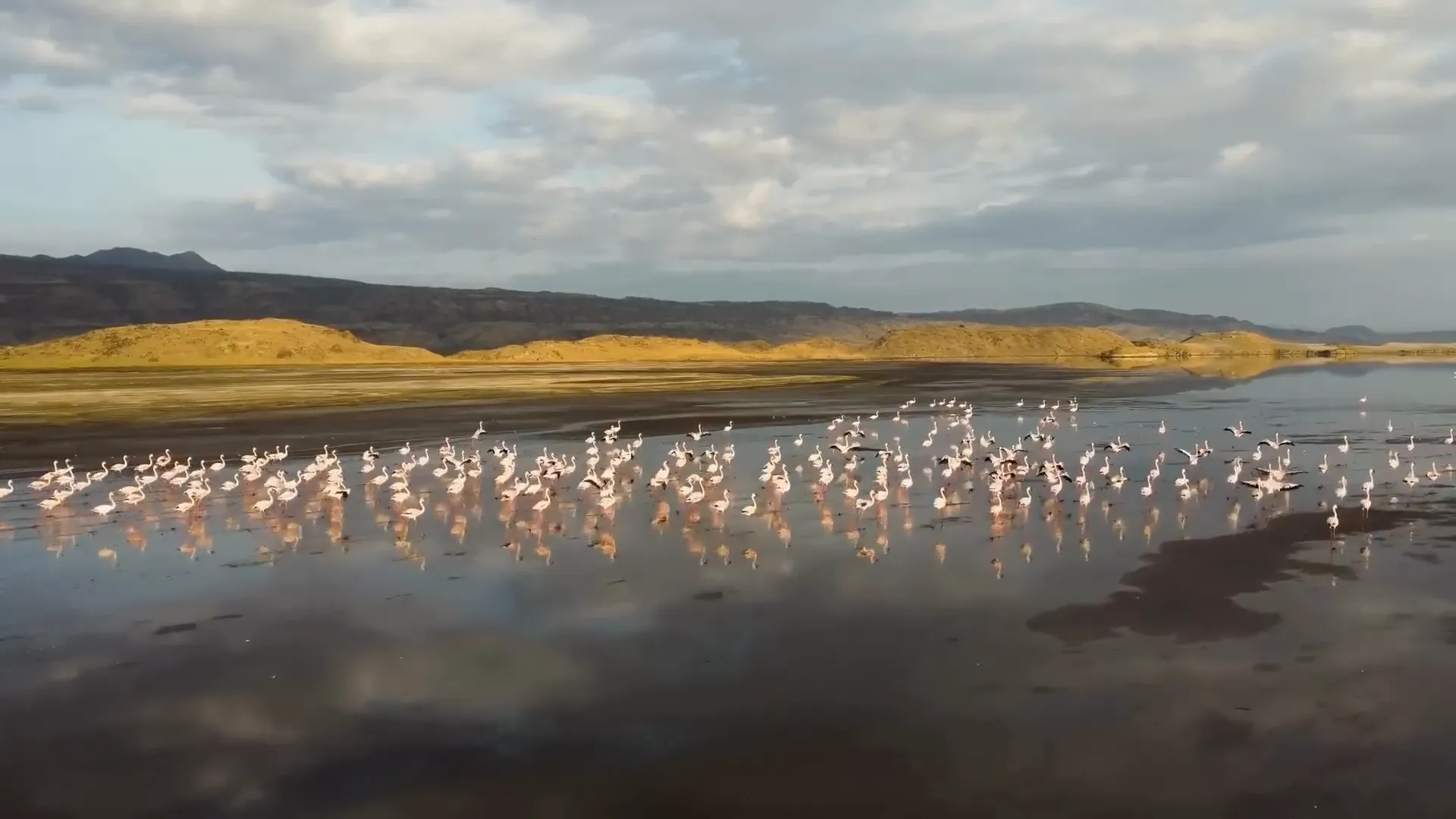 The eerie beauty of Lake Natron